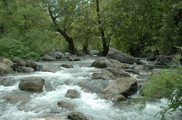 Wastewater Management Services by Canadian Shield Consultants Agency
