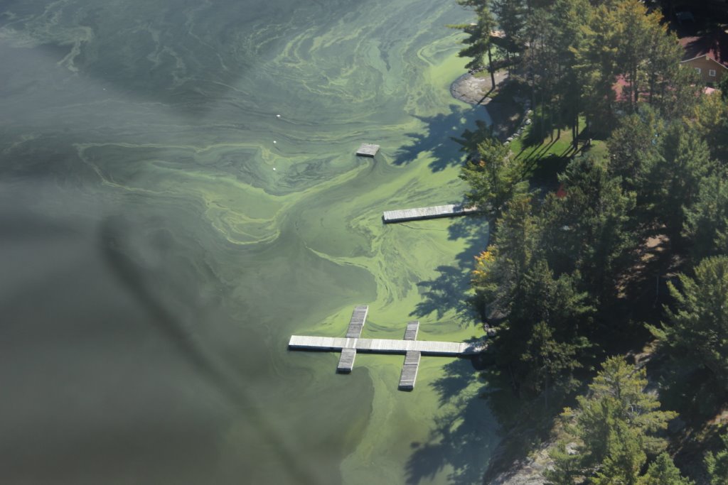 Research & Development Engineering by Canadian Shield Consultants Agency (CSCA)