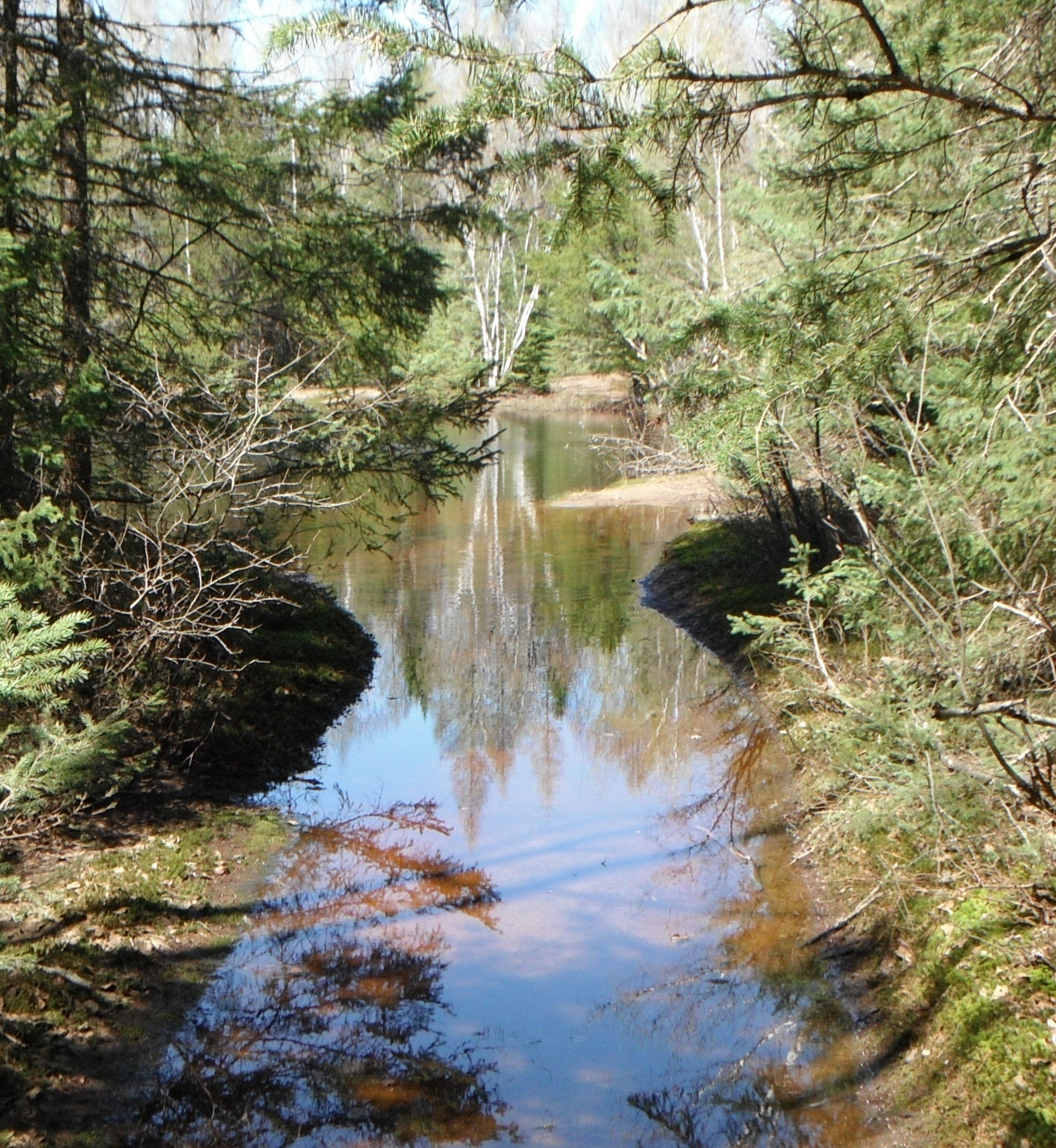 Bionest Technologies by Canadian Shield Consultant Agency